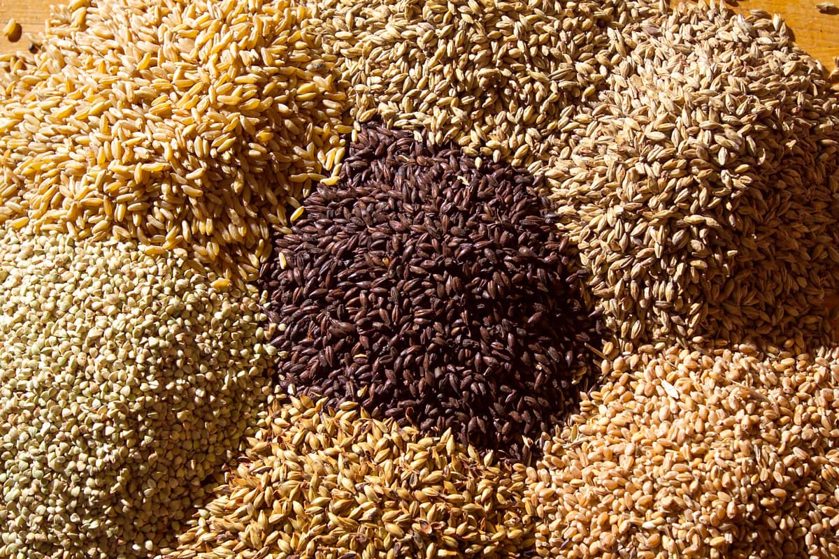 Different types of malt in craft beer production